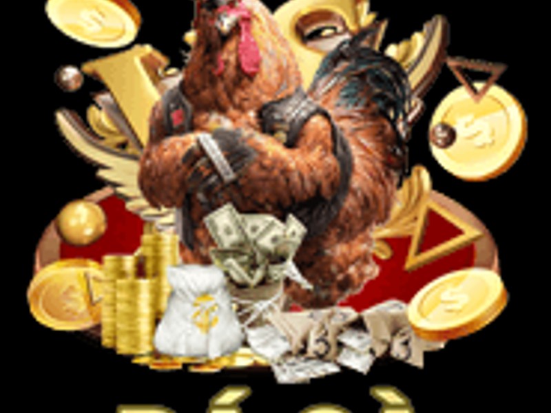 Chọn sảnh đá gà và đặt cược